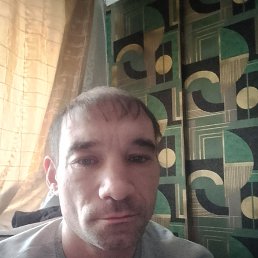 ����, 41 ���, ������