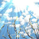 ���� �������, ������, 52 ���� - ��������� 10 �������� 2024 � ������ ���� ����������