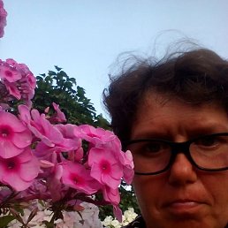 �����, 40 ���, ������