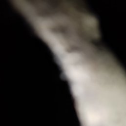 ����, �����-���������, 34 ����