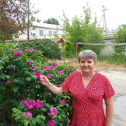 ���� ������, �����, 50 ��� - ��������� 27 ������ 2025