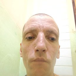 ������, 42 ����, ������