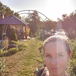 , 38 ,  