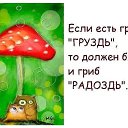 ���� Nik, �������� - ��������� 27 ������� 2024