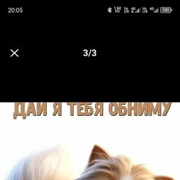 ������, �����, 61 ���