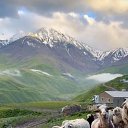  , --, 57  -  15  2025