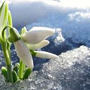 ���� ����, �����-��������� - ��������� 15 ������� 2026 � ������ ������ ��������