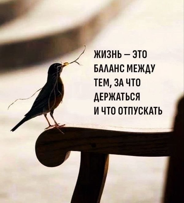   - 19  2025  23:13