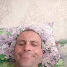 ����, 67 ���, ���������