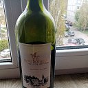 ���� Ը���, �����������, 48 ��� - ��������� 21 ������ 2024 � ������ ���� ����������