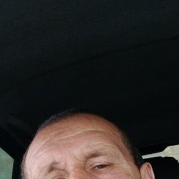 , 46, 
