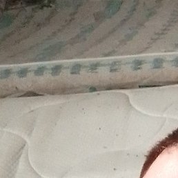 �������, ������, 46 ���