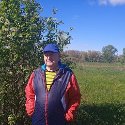 �������, ������, 66 ���