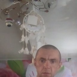 ���� ��������, �����, 44 ���� - ��������� 8 ������ 2023