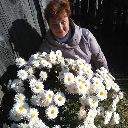 , 55, 