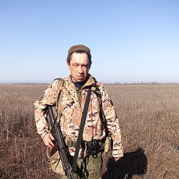 ���� �������, �����, 49 ��� - ��������� 11 ����� 2026