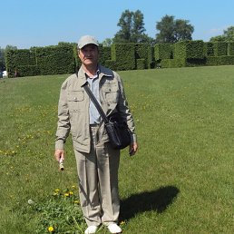 �����, ���������� �����, 82 ����