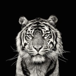 ����, ���, 34 ����