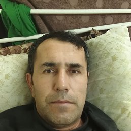 ����, 46 ���, ���������