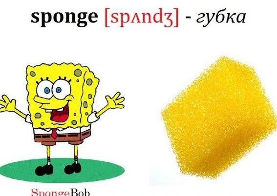 ���� ����� ����� ������ - 4