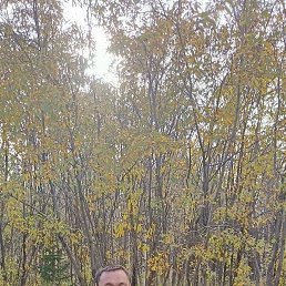 ����, 45 ���, ���������