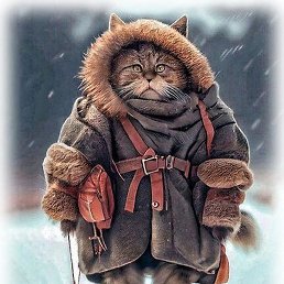 �����, ������, 42 ����