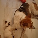 ���� �����, ����, 56 ��� - ��������� 20 ������ 2025 � ������ ���� ����������