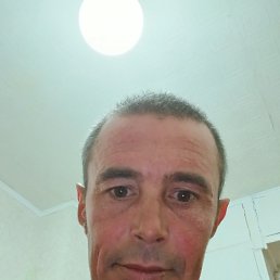 , 40, 