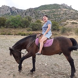 ���� �����, �����-���������, 53 ���� - ��������� 28 ������ 2023