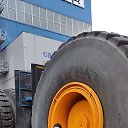 ���� ������, ����, 47 ��� - ��������� 17 ������ 2024 � ������ ���� ����������