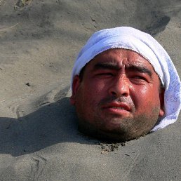 , 30, 