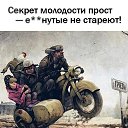 ���� �����, �������������, 44 ���� - ��������� 31 ����� 2024 � ������ ���� ����������