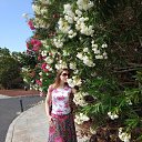 ���� ������, ������ - ��������� 29 ���� 2025