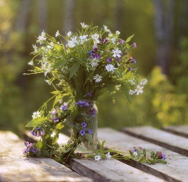 ������� ���� �������� ����� � ��� ����� �����, ������ ���, � ��� ����� �������.