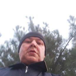 ����, �������, 55 ���