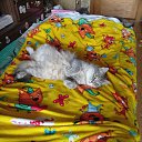 ���� �������, ������ - ��������� 29 ������ 2025 � ������ ������ ��������