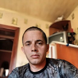 , 37, 