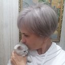 ���� ��������, ����������, 59 ��� - ��������� 27 ������ 2026 � ������ ���� ����������