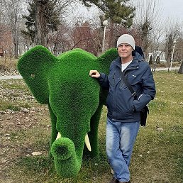 �������..., ���������, 56 ���