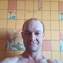 �������� �������, 41 ���, ������