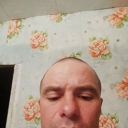 , 41, 