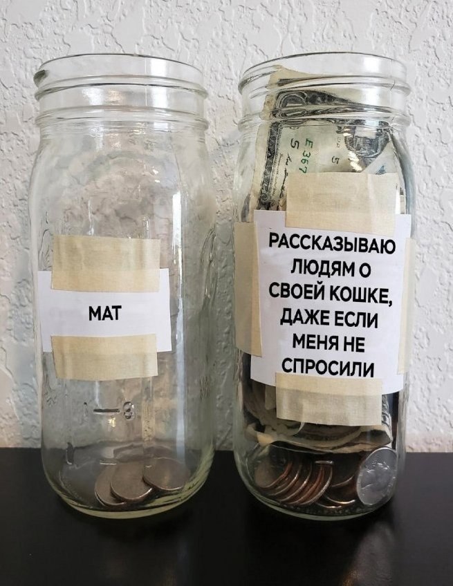 ������ ��� ����� - ��� ������