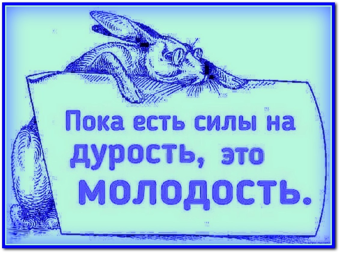 Vladimir - 18  2024  23:46