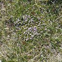 ���� Bod, ��������, 27 ��� - ��������� 24 ������� 2023