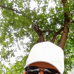 ���� �������, ����������, 38 ��� - ��������� 17 ���� 2025