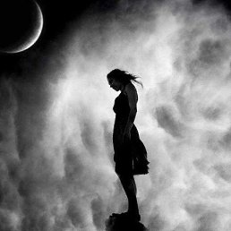 ������, �������, 41 ���