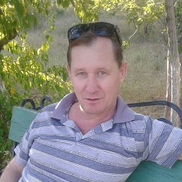 , 56, 