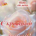 ���� ������, �������-��������� - ��������� 16 ���� 2026 � ������ ������ ��������