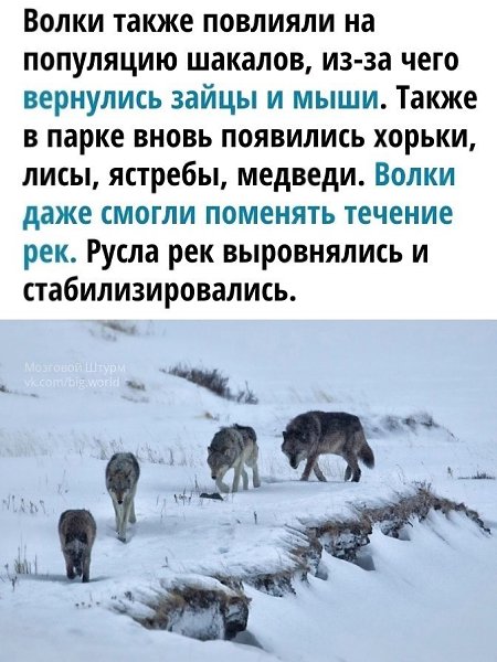   - 3