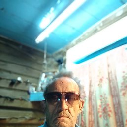 �������� �������, ���������, 67 ���